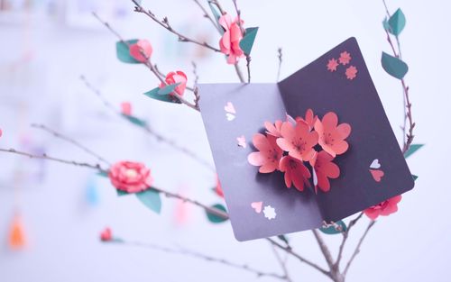 东西物语创意折纸立体花瓣贺卡