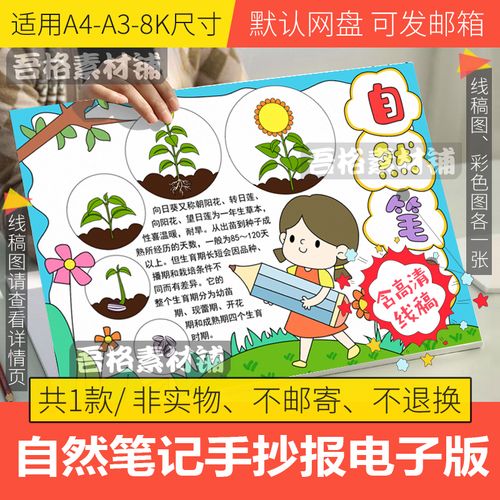 自然笔记手抄报模板电子版小学生向日葵植物生长手抄报线稿a3a48k