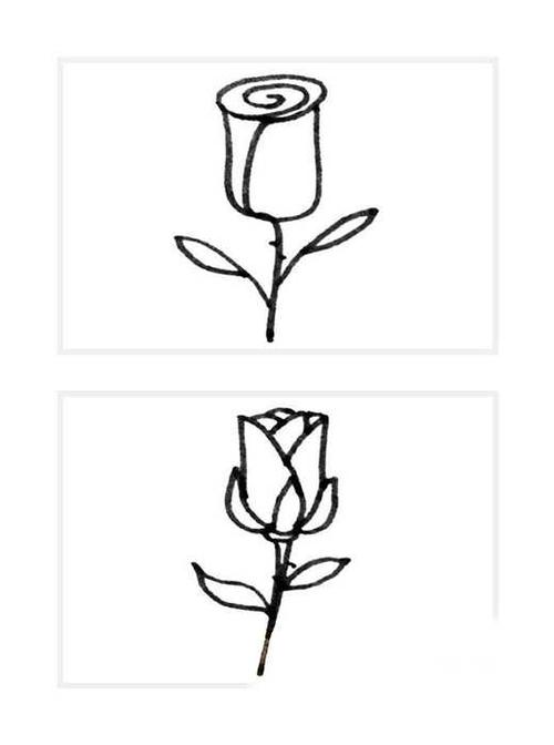 画教程简单漂亮玫瑰花简笔画的图片大全漂亮的玫瑰花简笔画步骤图简单