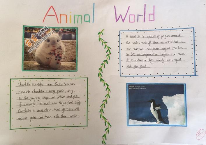 我最喜欢的动物英语手抄报我最喜欢的动物英语手抄报7年级