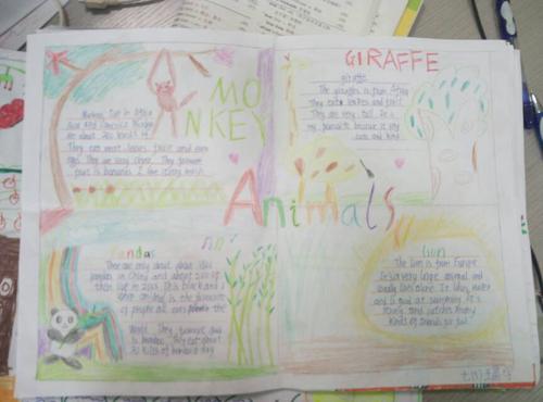 龙驹中学初一五班英语手抄报我最喜欢的的动物太好看了
