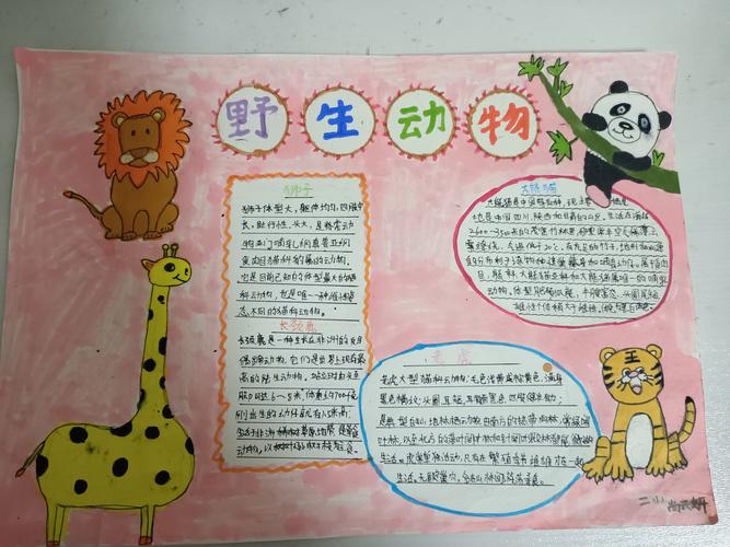 动物朋友垦利区三小二年级一班手抄报展示 写美篇 每一个生命都值得