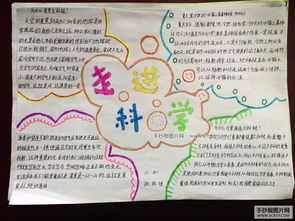 澧浦镇东湖小学举行走近科学热爱科学手抄报-42kb01 1422提供最全的