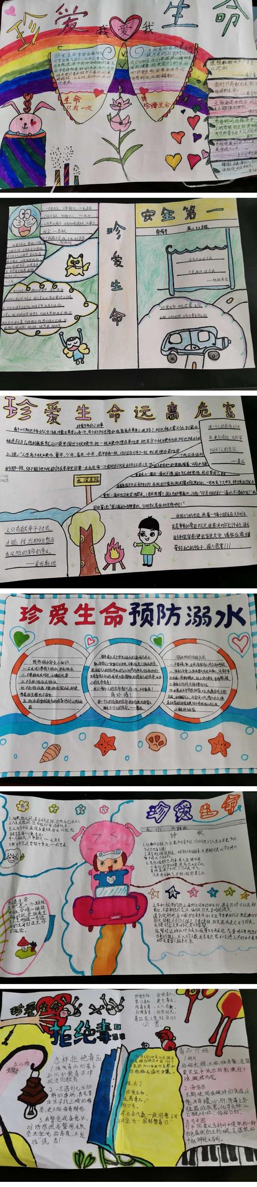 珍爱生命快乐成长记泗洪姜堰实验学校五年级手抄报展