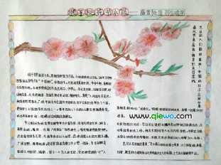 关于桃花shu的手抄报 手抄报简单又好看关于桃花的手抄报图片旅游桃花