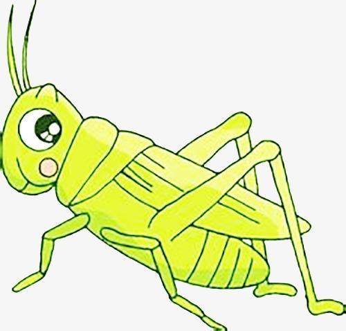 蟋蟀卡通简笔画彩色