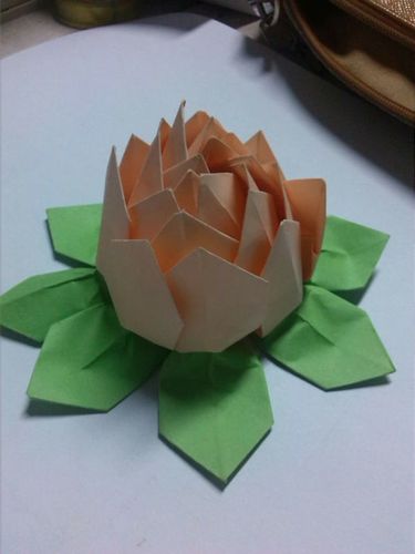 折纸兴趣爱好手工纸睡莲的折法方法图解 教你怎么折荷花灯折纸大全