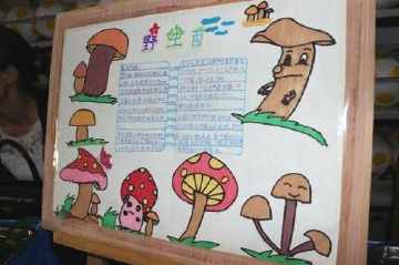 毒蘑菇手抄报关于蘑菇中毒的手抄报 禁毒的手抄报蘑菇课的阅读手抄报