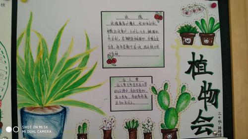 植物画报三年级图片