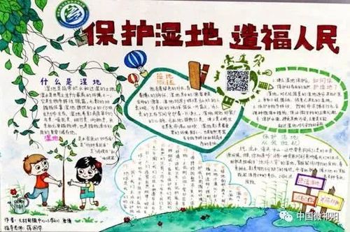 祁阳县中小学生湿地走进校园征文绘画手抄报大赛获奖公示