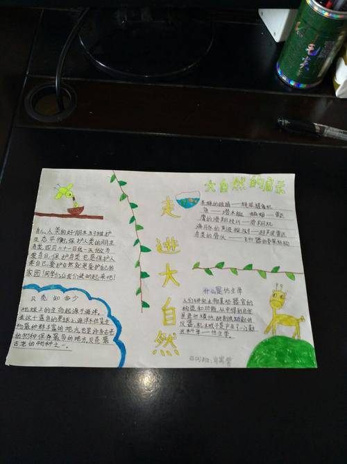 江城小学四年级二班《走进大自然》手抄报精彩作品展示