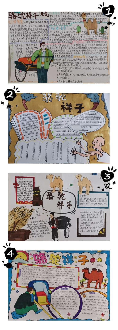 行走于书香之中第一期七年级语文名著《骆驼祥子》手抄报展