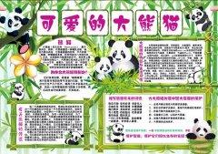 保护动物手抄报可爱的大熊猫