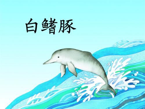 长江江豚简笔画 戏水图片