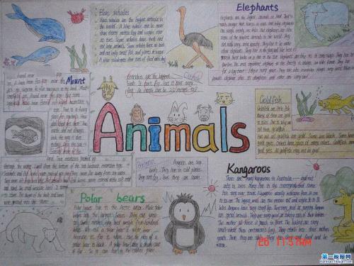 关于我最喜欢的动物的英语手抄报关于动物的手抄报
