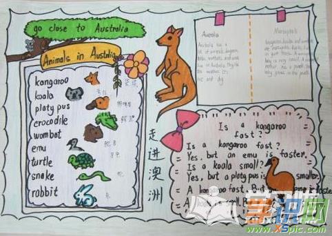 制作动物的英语手抄报可以作引导学生爱护动物也可以倡导人们爱