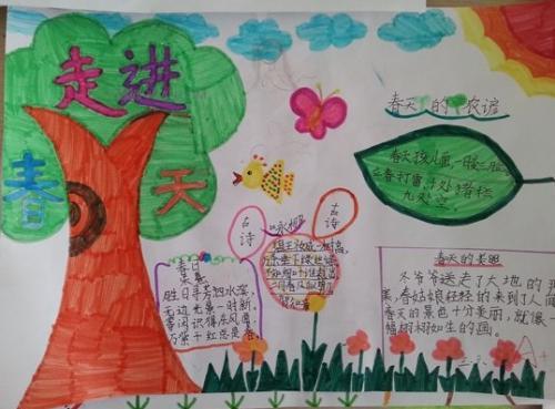 小学生四年级植物种植手抄报 小学四年级手抄报