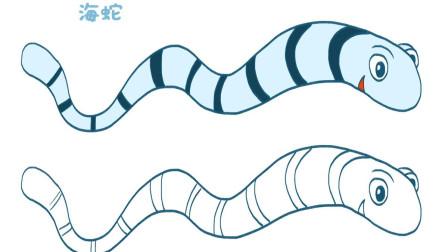 黄腹海蛇简笔画图片