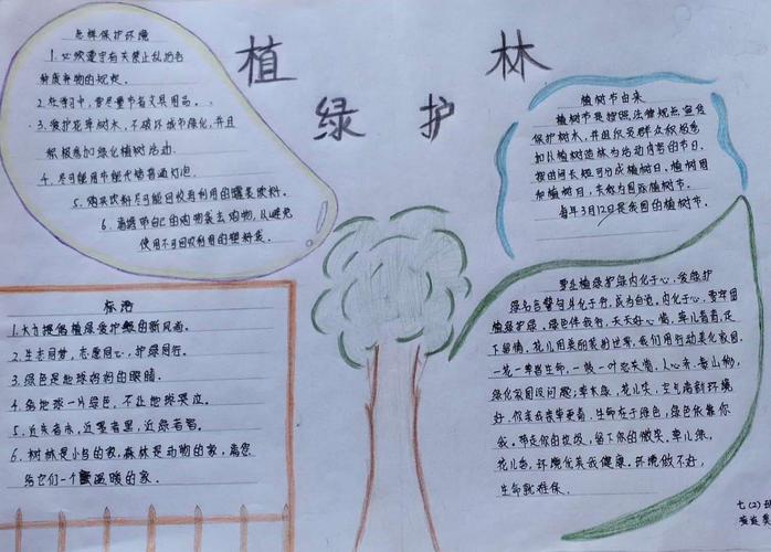 恩平市东成中学植绿护绿爱护环境手抄报活动