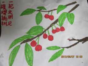 樱桃节手抄报展爱在阳光下关于樱桃的手抄报关于《外公是棵樱桃树》的