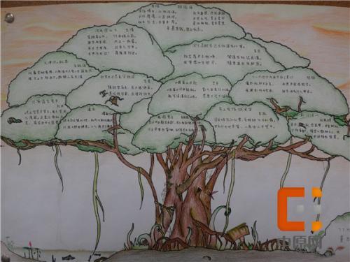 数学知识树手抄报图片 高清图片 英汉互译六年级数学知识树全册第一