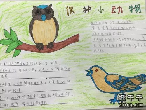保护动物手抄报内容熊猫小学生手抄报