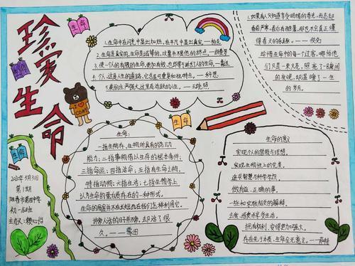 关于热爱生命手抄报版面设计图11小学生手抄报热爱生命的手抄报内容