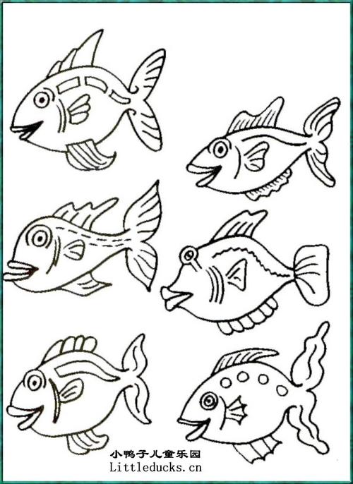 不同鱼的简笔画图片