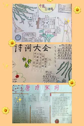 看了《中国诗词大会》后做的手抄报图文并茂