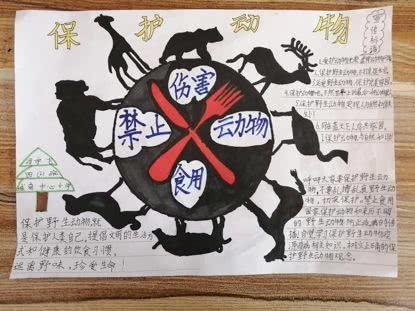 昌平区城南中心小学四2中队冯宇飞手抄报《保护动物》呼吁大家不要