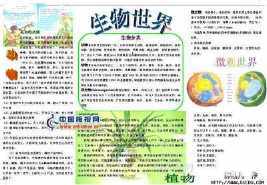 关于对中国有影响的人物的手抄报关于生物的手抄报