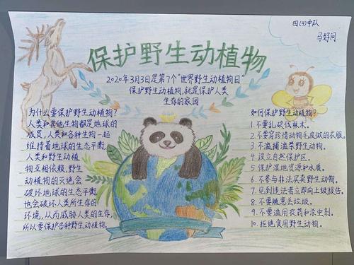 一张张手抄报警示人们为了人类共同的家园行动起来保护野生动植物