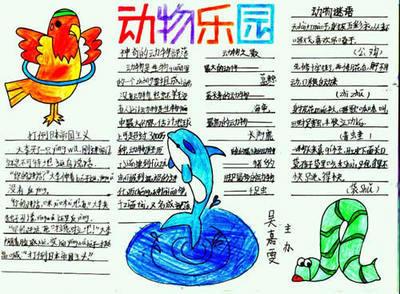手抄报保护动物小报图片 -小学生手抄报范文家fwjia-109kb