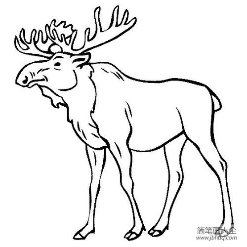 鹿科类动物简笔画