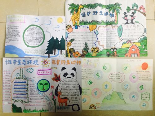 我校学生精心绘制保护野生动物 维护生态安全手抄报