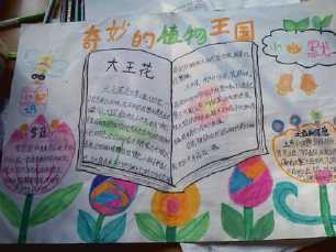 四年级观察植物手抄报 四年级手抄报-蒲城教育文学网