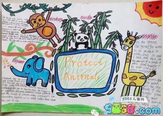 三年级英语动物手抄报 三年级英语动物手抄报简单又漂亮