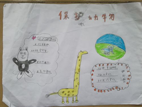 《午夜动物园》共读活动之保护动物手抄报新丰县实验小学二12班