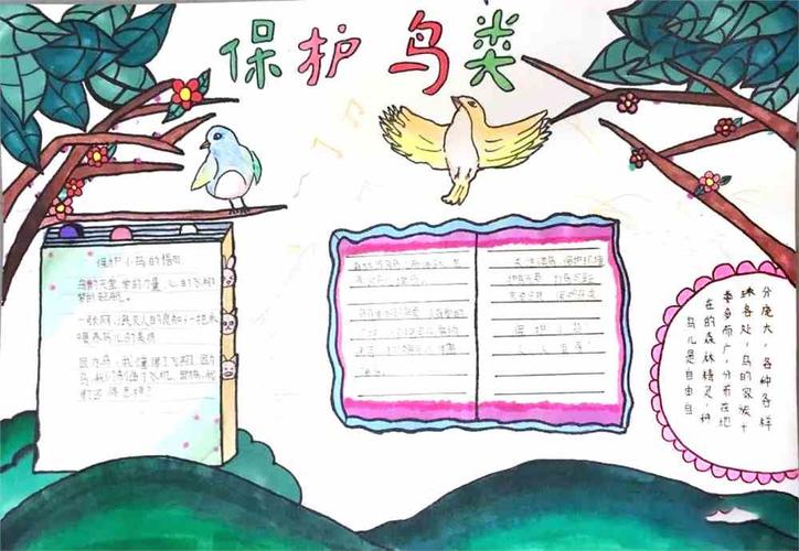 画资源-儿童号-手抄报模板大全-五年级爱护鸟类手抄报简单又漂亮7