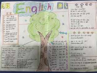 关于爱护树木的英语手抄报 四季的英语手抄报