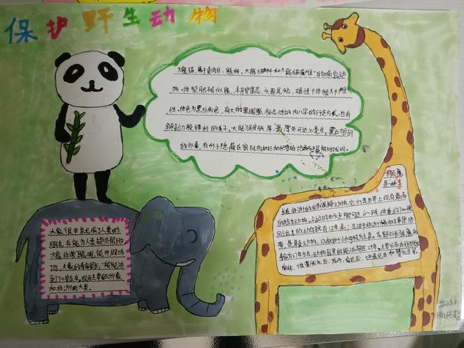 我的野生动物朋友垦利区三小二年级一班手抄报展示