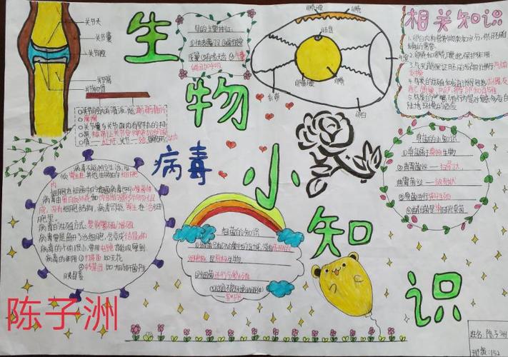 张坊中学八年级生物知识手抄报竞赛 写美篇为了营造学生浓厚的学习