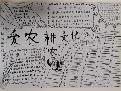 学校组织学生用手中的五彩笔以手抄报和绘画的形式描绘中国农耕文化的