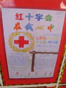 红十字日活动主题手抄报 红十字手抄报
