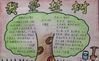 北京小学二年级关于树木手抄报我爱植树节手抄报植树环保手抄报精美