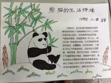 四川成都熊猫手抄报 手抄报模板大全-蒲城教育文学网