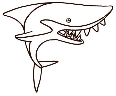 巨齿鲨吃虎鲸简笔画图片