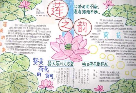 关于莲花的诗句古诗关于莲的手抄报 花的手抄报