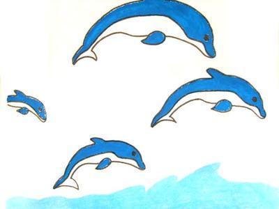 关于简单海豚的手抄报 简单手抄报