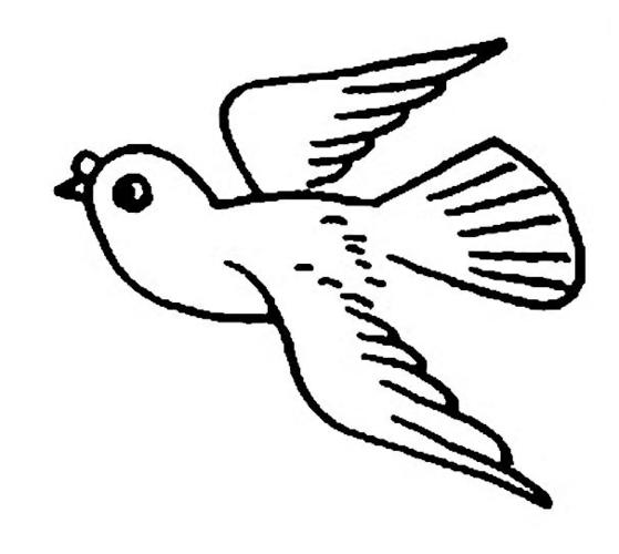 飞翔的鸟儿的画法图片